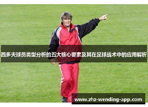 西多夫球员类型分析的五大核心要素及其在足球战术中的应用解析