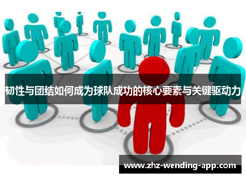 韧性与团结如何成为球队成功的核心要素与关键驱动力